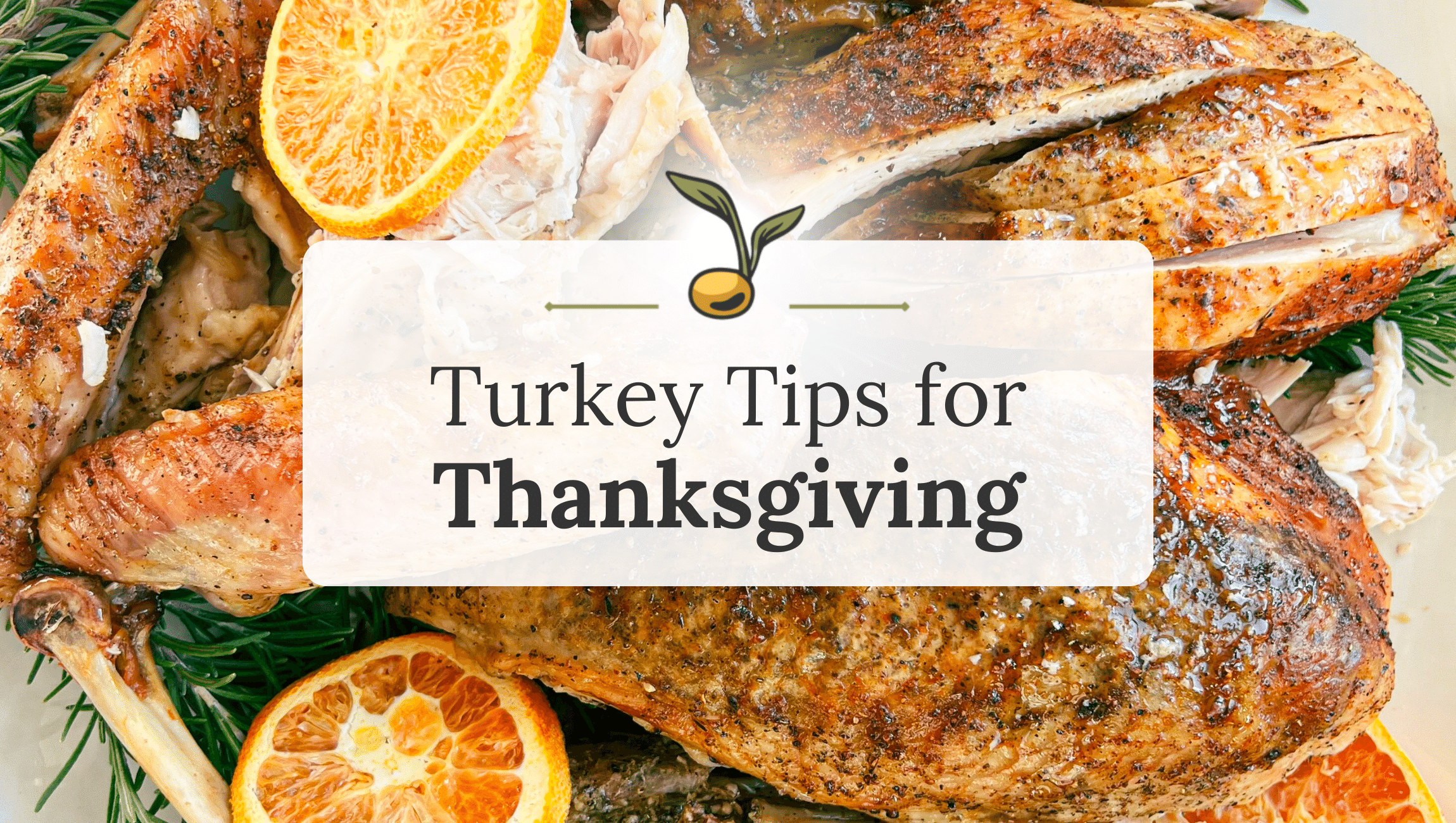 Turkey Tips for Thanksgiving